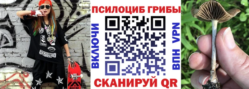 наркота  Благодарный  Псилоцибиновые грибы Psilocybe 